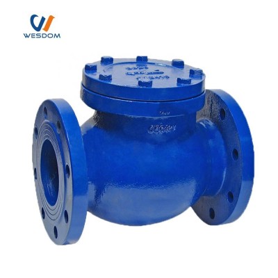 Swing Type Check Valve Gas Appliance Isolation Shut-off Instrument Manifold Valves Normal Temperature General